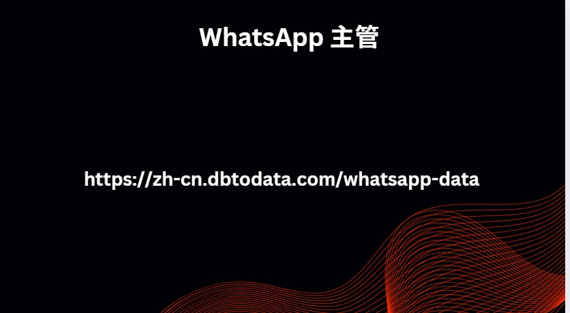 WhatsApp 主管