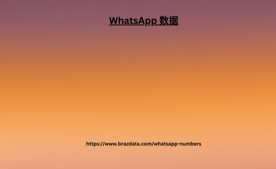 WhatsApp 数据 (1)