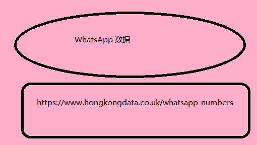 WhatsApp 数据