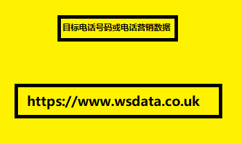 目标电话号码或电话营销数据